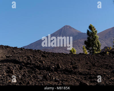 Tenerife, Isole Canarie - le boscose colline di lava round Samara picco con sentieri per il Monte Teide e lava tipica macchia nel deserto Foto Stock