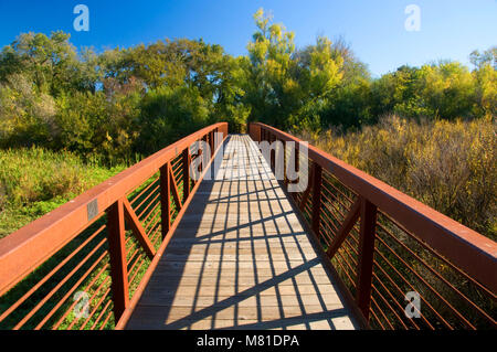 Il sentiero ponte sul fiume Cosumnes preservare, California Foto Stock