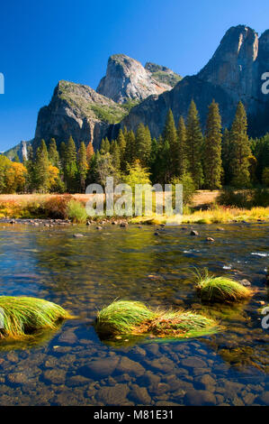 Merced River attraverso il Parco Nazionale di Yosemite Valley, il Parco Nazionale Yosemite in California Foto Stock