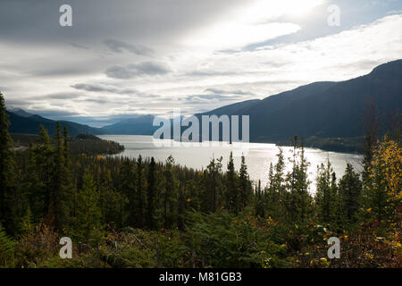 Yukon Canada, "più grandi di vita' Foto Stock