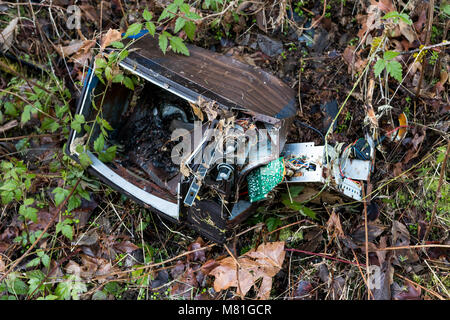 Smontaggio fracassato televisore con le piante e le erbacce che crescono in per il tubo rotto Foto Stock