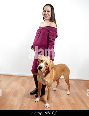Attraente giovane donna incinta in piedi con il suo cane con la mano sulla pancia guardando la fotocamera Foto Stock