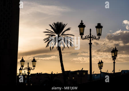 Silhouette di palme e candelabri street lights durante il tramonto Foto Stock