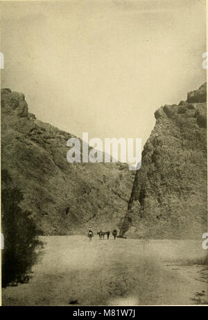 Camp e camino nella Bassa California; un record delle avventure di autore mentre esplorate la penisola di California, Messico (1910) (14755829246) Foto Stock