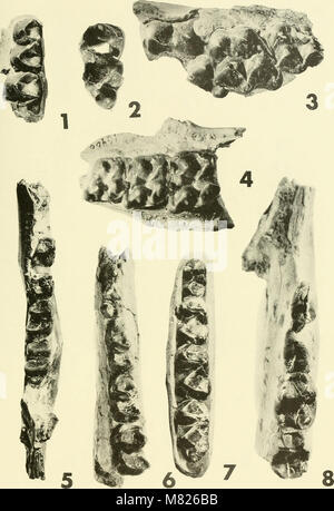 Il presente bollettino del 1966 tratta importanti sviluppi scientifici e tecnologici in vari settori, offrendo informazioni e risultati di ricerca chiave per accademici e professionisti in diverse discipline. Foto Stock