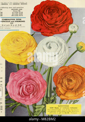 Bulbi vegetali sementi per la semina autunnale (1947) (20233265849) Foto Stock