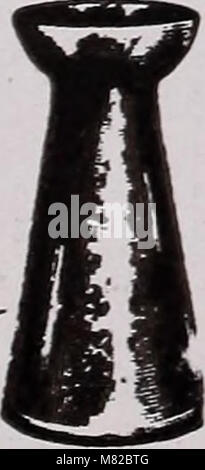 Lampadine arbusti semi - autunno 1916 (1916) (20232131410) Foto Stock