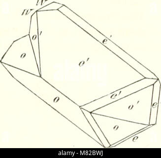 Bollettino de l'Acadmie impriale des sciences de San-Ptersbourg (19810232063) Foto Stock