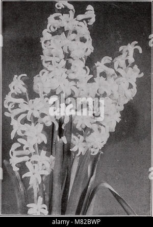 Questa pubblicazione del 1916 fornisce un catalogo di bulbi, arbusti e semi adatti alla piantagione durante la stagione autunnale, con descrizioni dettagliate e linee guida per la coltivazione di varie specie. Foto Stock