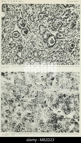 Il carcinoma della tiroide nei pesci salmonoid (1914) (19911774384) Foto Stock