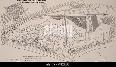 Carpinteria Salt Marsh - ambiente, la storia e le risorse botanico di Southern California estuario (1985) (20351467320) Foto Stock