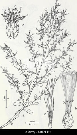 Carpinteria Salt Marsh - ambiente, la storia e le risorse botanico di Southern California estuario (1985) (20351558788) Foto Stock