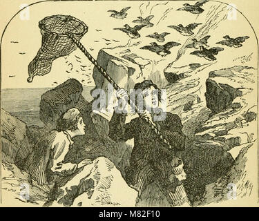 Gettare via nel freddo - un vecchio uomo della storia di un giovane uomo di avventure, come riferito dal capitano John Hardy, mariner (1868) (14759815006) Foto Stock