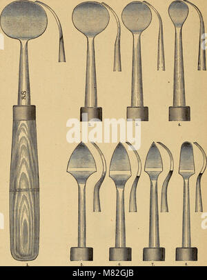 Catalogo dei materiali dentari, mobili, strumenti ecc. In vendita (1876) (14591273749) Foto Stock