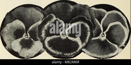 Catalogo di hardy perenni arbusti, vigne, rose, piante siepe alberi sempreverdi piccoli frutti e radici da giardino con illustrazioni e commenti - n. 1 (1911) (20576143945) Foto Stock