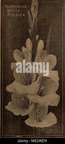 Childs' primavera 1922 - sementi che soddisfano le piante che si prega di bulbi che fioriscono le bacche che recano (1922) (14586630810) Foto Stock