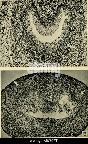 Ciba Foundation colloqui sull'invecchiamento (1956) (20601647522) Foto Stock