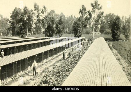 Case di città del paese corsie; filosofia e pratica della home-in-un-giardino (1921) (14583037149) Foto Stock