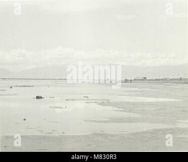 Classificazione delle zone umide e degli habitat di acque profonde degli Stati Uniti (1979) (20033379574) Foto Stock