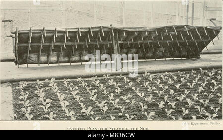 Commerciale di cultura di garofano; una guida pratica ai moderni metodi di crescita del garofano americano per scopi di mercato (1915) (20657747402) Foto Stock