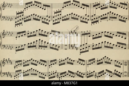 Completare la scuola di technic per pianoforte - compresa la flessibilità e indipendenza, scale in tutte le forme, estensione, arpeggi in tutte le forme, doppie note, ottave e corde, trilli, tremolo, (14582291320) Foto Stock