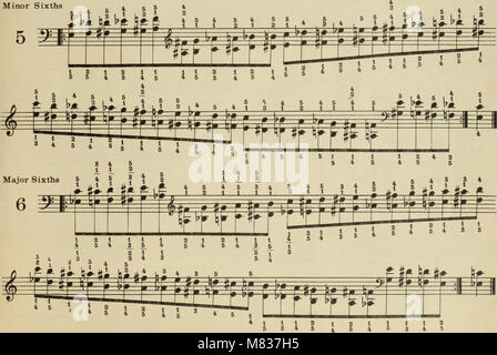 Completare la scuola di technic per pianoforte - compresa la flessibilità e indipendenza, scale in tutte le forme, estensione, arpeggi in tutte le forme, doppie note, ottave e corde, trilli, tremolo, (14766686814) Foto Stock