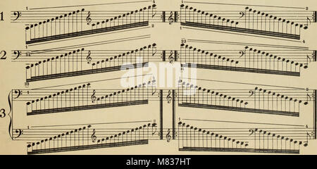 Completare la scuola di technic per pianoforte - compresa la flessibilità e indipendenza, scale in tutte le forme, estensione, arpeggi in tutte le forme, doppie note, ottave e corde, trilli, tremolo, (14788952623) Foto Stock