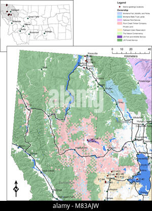 Strategia di conservazione per la Silene spaldingii (Spalding's catchfly) in Montana (20323637720) Foto Stock