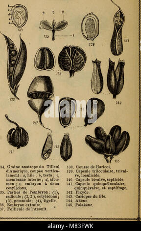 Cours elementaire de botanique et flore du Canada a l'usage des Maisons d'istruzione (1871) (20708976061) Foto Stock