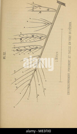 Cours pratique de la culture et de la taille des arbres fruitiers (1864) (20514598798) Foto Stock