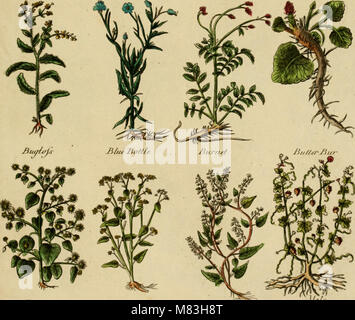Culpepper il medico inglese; e a base di erbe completa (1789) (20190315894) Foto Stock