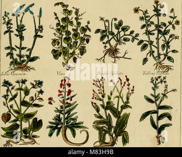 Culpepper il medico inglese; e a base di erbe completa (1789) (20626208849) Foto Stock
