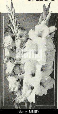 Currie's garden - annuale Primavera 1934 59th anno (1934) (20825206721) Foto Stock