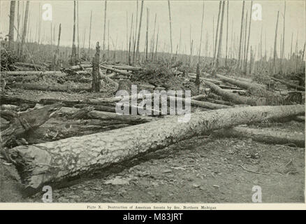 Dell'enciclopedia delle colture di fattoria - un sondaggio popolare di colture e raccolto-metodi di fabbricazione negli Stati Uniti e in Canada (1922, c1907) (20639800368) Foto Stock