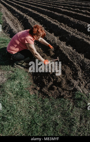 La donna prepara il terreno per la semina con strumento di aratro in primavera. Agricoltura biologica. Foto Stock