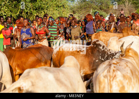 Giovani donne Hamar ballando e cantando in un toro Jumping cerimonia, Dimeka, Valle dell'Omo, Etiopia Foto Stock