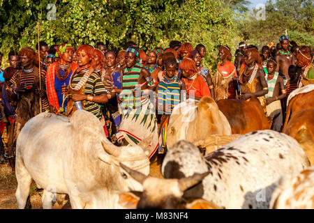 Giovani donne Hamar ballando e cantando in un toro Jumping cerimonia, Dimeka, Valle dell'Omo, Etiopia Foto Stock