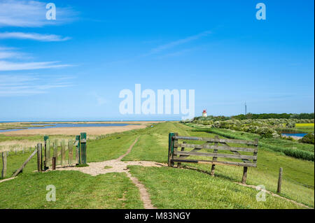 Paesaggio all'alluvione terrapieno, Westermarkelsdorf, Fehmarn, Mar Baltico, Schleswig-Holstein, Germania, Europa Foto Stock