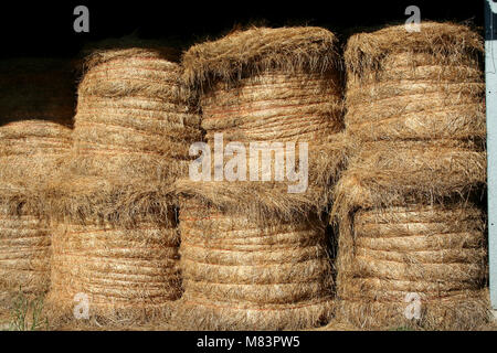 Un mazzetto di fieno impilati Bails Foto Stock