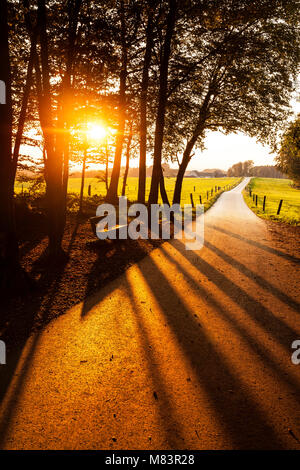 Retro-illuminato paesaggio con banco di lavoro. Una strada di campagna che conduce dal primo piano all'orizzonte. Le ombre degli alberi in primo piano Foto Stock