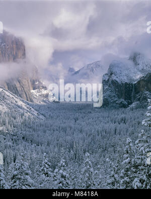 Cancellazione di tempesta, Yosemite Valley, il Parco Nazionale Yosemite in California Foto Stock