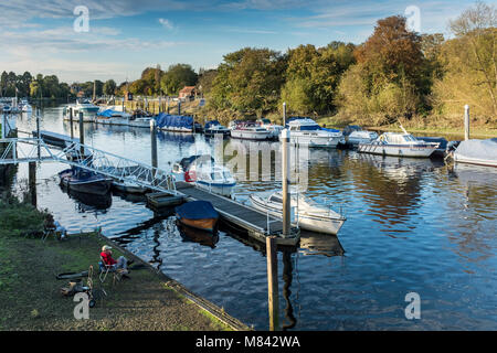 Barche ormeggiate lungo il fiume Tamigi, Teddington, London Borough of Richmond upon Thames, Regno Unito Foto Stock
