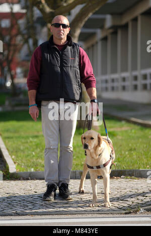 Persona cieca con cane guida in attesa di attraversare la strada Foto Stock