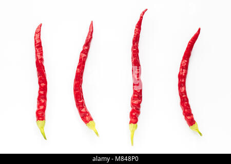 Hot indian red pepper Foto Stock