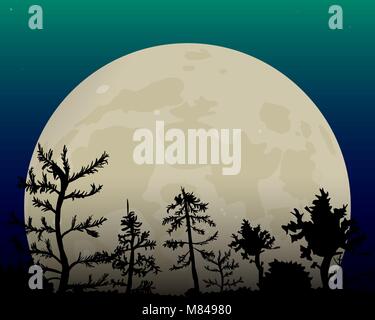 Bianco romantica luna grande nel cielo notturno. Foresta scura illustrazione vettoriale. Illustrazione Vettoriale