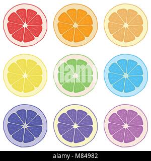 Tagliate la frutta illustrazione vettoriale. Limone, arancia, pompelmo e calce. Illustrazione Vettoriale