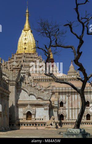 Ananda Pahto tempio, Bagan, Myanmar Foto Stock