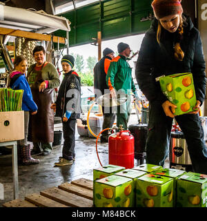 Craft di succo di mela di produzione in Germania Foto Stock