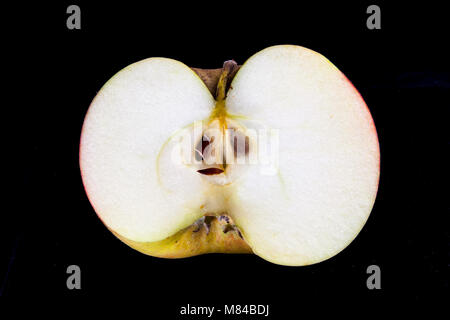 Antico tedesco Apple Cultivar Kaiser Alexander Foto Stock