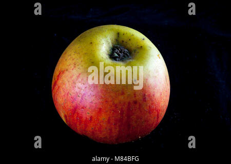 Antico tedesco Apple Cultivar Goldparmäne Foto Stock